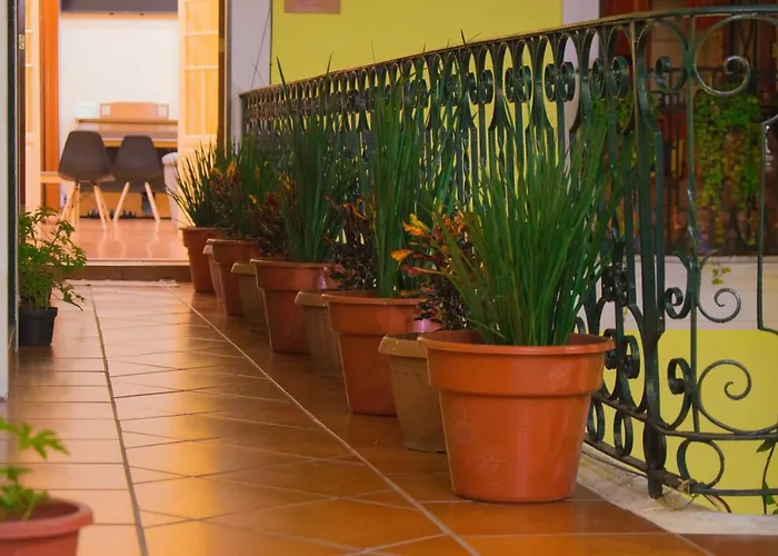 Hostel Casa Maria